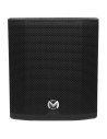 Mac Mah AS 815 Sub - Caisson de basses actif 15 pouces 800 W RMS
