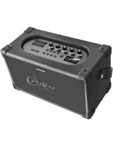 C. Perkins Nashville Sound – Vue de l’enceinte et de ses commandes