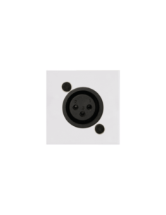 AUDAC CP45XLFS-W – Plastron XLR femelle 45 x 45 mm blanc – vue principale