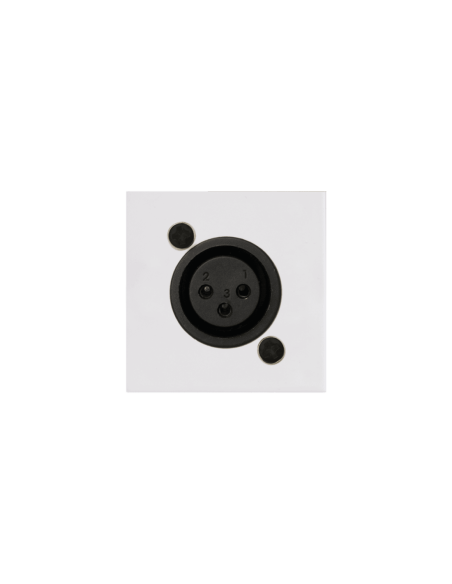 AUDAC CP45XLFS-W – Plastron XLR femelle 45 x 45 mm blanc – vue principale