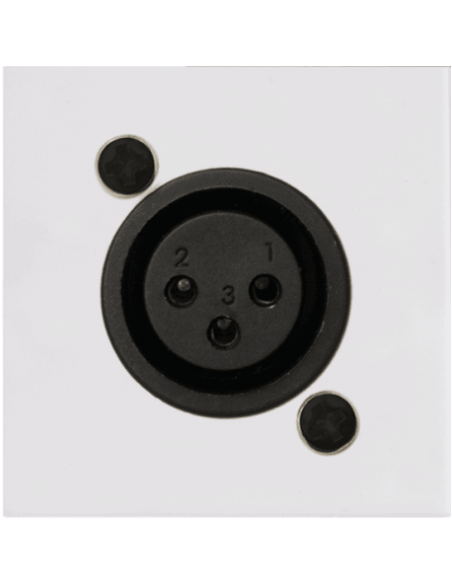 AUDAC CP45XLFS-W – Plastron XLR femelle 45 x 45 mm blanc – vue alternative