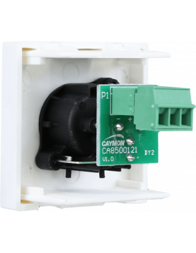 AUDAC CP45XLFS-W – Plastron XLR femelle 45 x 45 mm blanc – vue détaillée