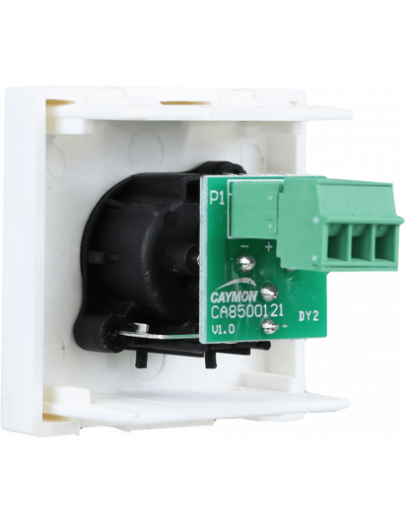 AUDAC CP45XLFS-W – Plastron XLR femelle 45 x 45 mm blanc – vue détaillée