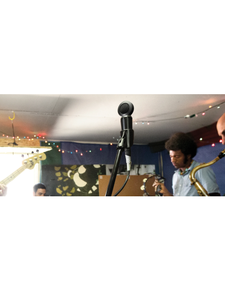 SHURE – PGA181-XLR Instruments - Statique | Sonopro