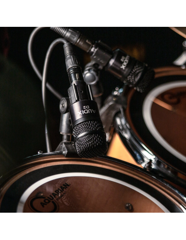 Audix D2 – Microphone dynamique pour instruments