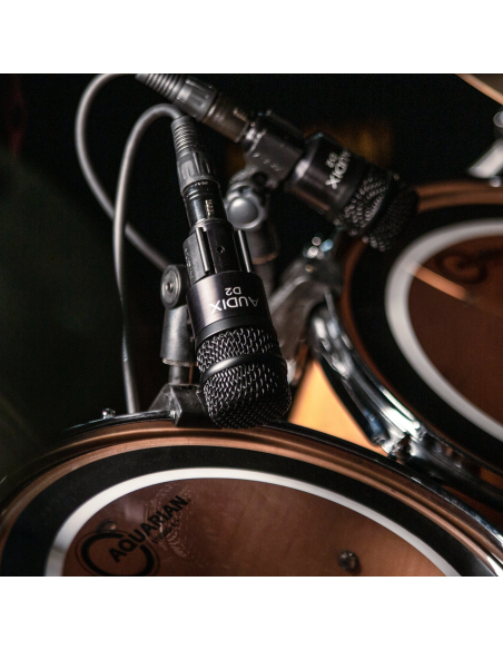 Audix D2 – Microphone dynamique pour instruments