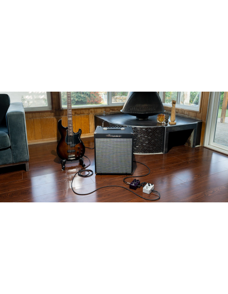 AMPEG RB-108 – Rocket Bass AMPLI BASSE COMBO 1X8 | Sonopro