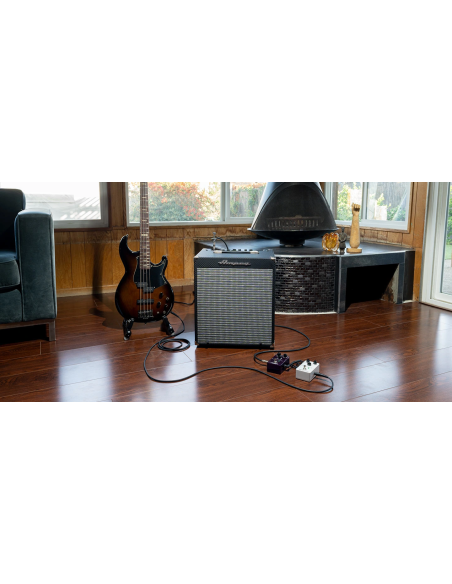 AMPEG RB-110 – Rocket Bass AMPLI BASSE COMBO 1X10 | Sonopro
