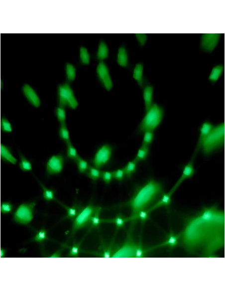 BoomTone DJ Twist Ball - Effet à Led
