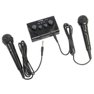 Set de karaoké Bluetooth professionnel avec 2 Microphones sans fil